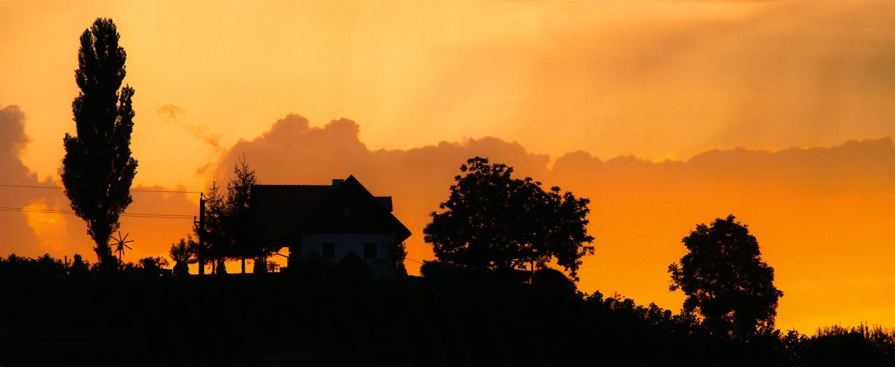 فندق Weingut Dreisiebner Stammhaus غامليتز المظهر الخارجي الصورة